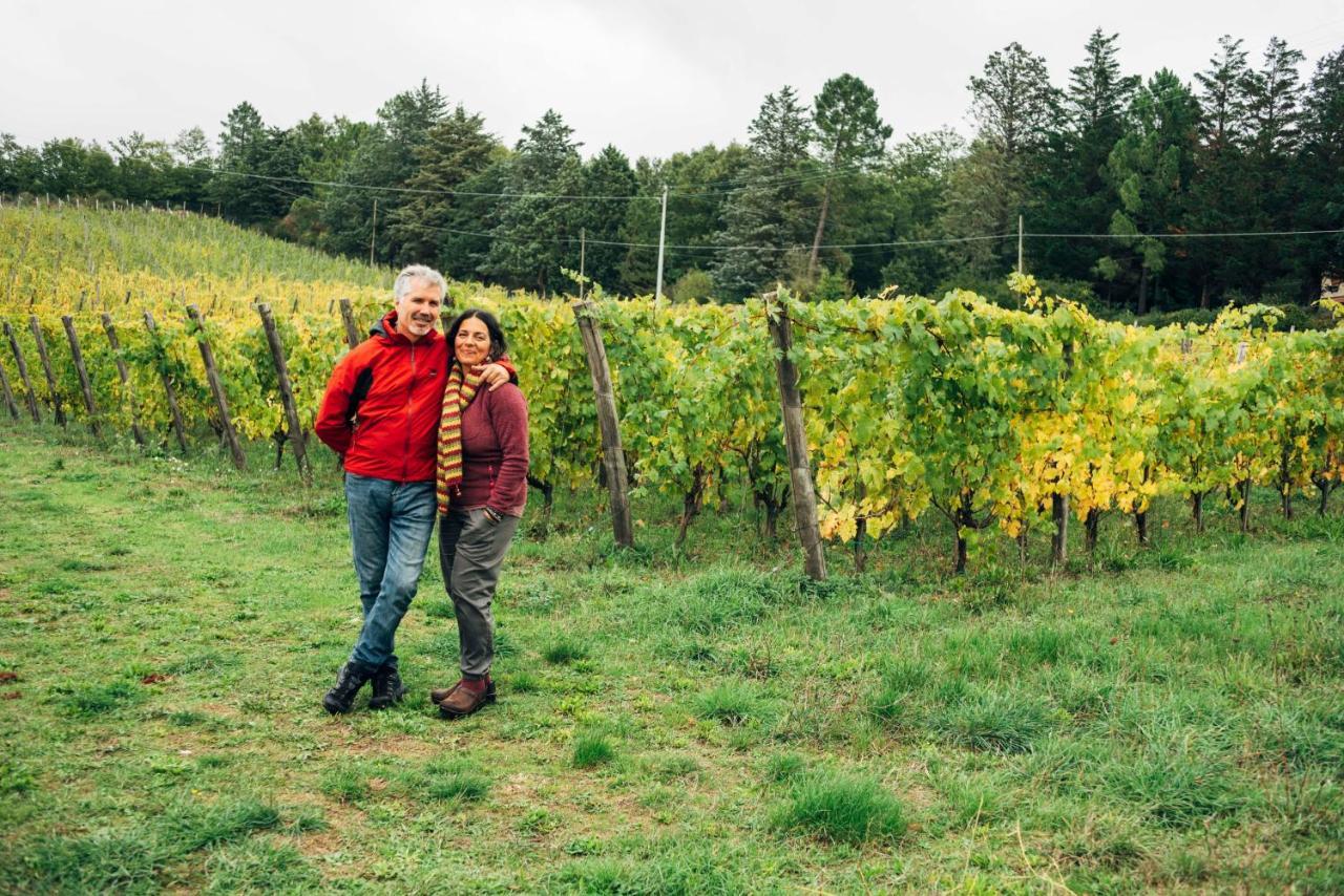 Trevinano Podere Orto Wine Country House מראה חיצוני תמונה