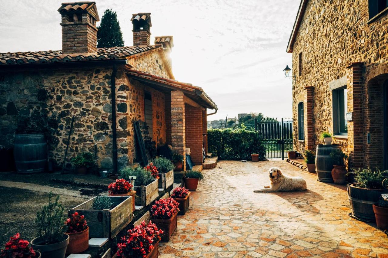 Trevinano Podere Orto Wine Country House מראה חיצוני תמונה